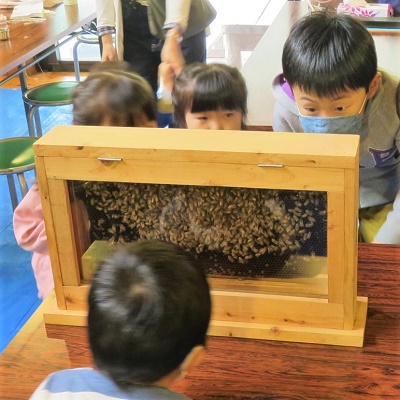 活動報告写真